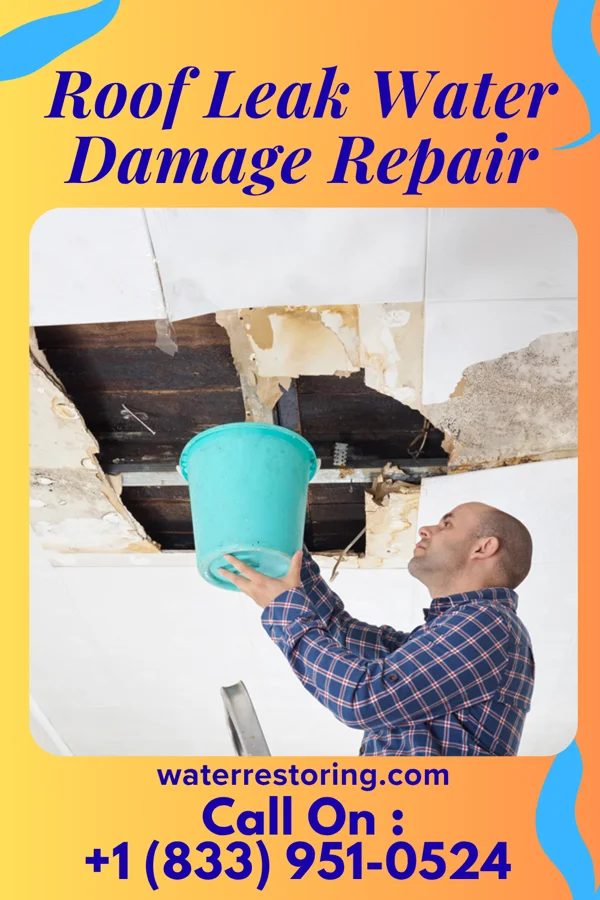 Roof Leak Water Damage Repair in Campo, CO
